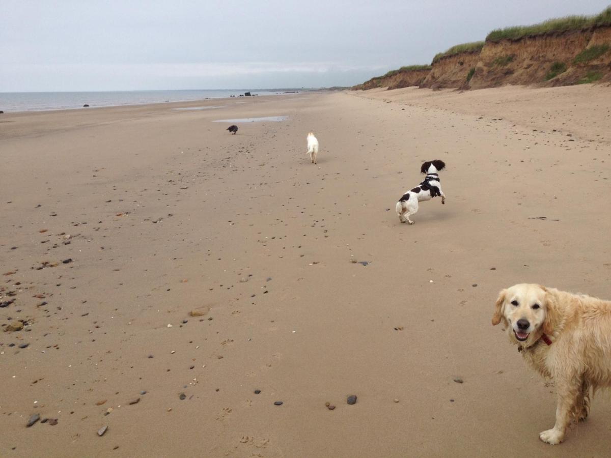 Luxury Dog Friendly Cottage Sleeps 4 Bridlington Exteriör bild